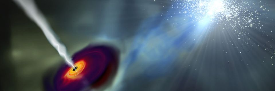 303a1a8d-5a20-4f19-9349-9eb07606d5ab-w_960