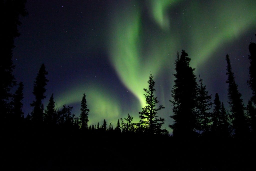northern-lights-in-the-wilderness