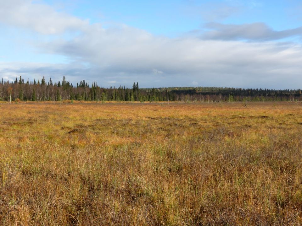 e350af79-c4ec-4077-bbc8-49203273727f-w_960