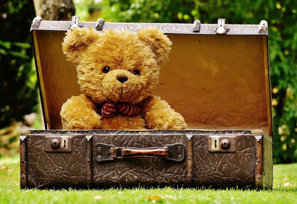 teddy-bear-in-luggage